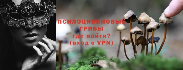 винт Снежногорск