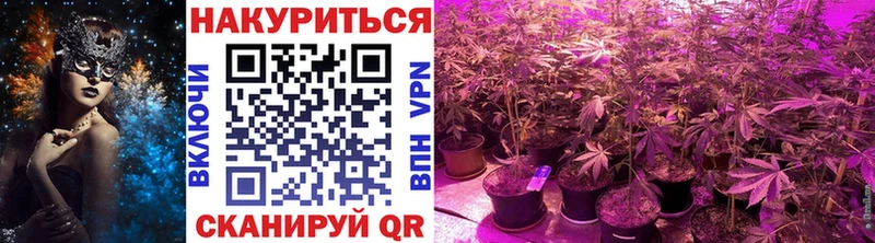 Конопля AK-47 Чита